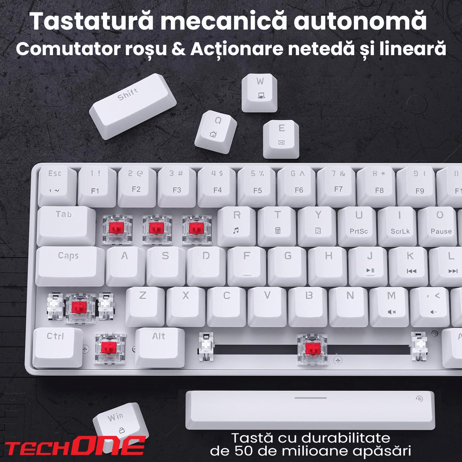 Tastatura Gaming Mecanica Profesionala Techone HexaBoard Tastatura Gaming Mecanica Profesionala Techone HexaBoard